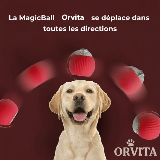 MAGIC BALLS ORVITA
